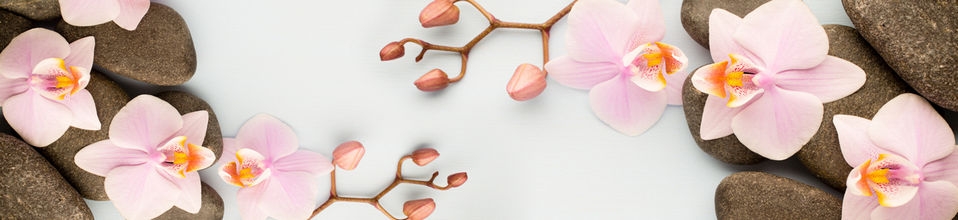 skinali 2904